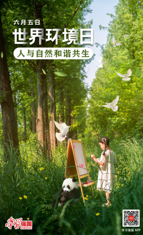 6.5世界环境日——人与自然和谐共生